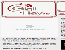 Tablet Screenshot of giglihay.com